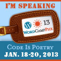 Presenting…. Me, at WordCamp Phoenix!