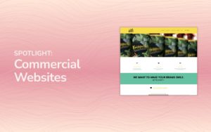 Industry Spotlight: Commercial Websites